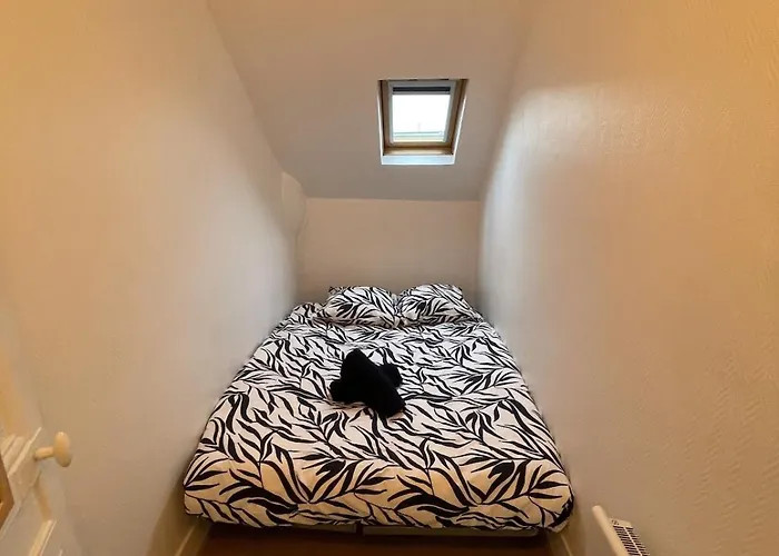 Cozy, Fully Equipped - Downtown - 3 People דירה רואן