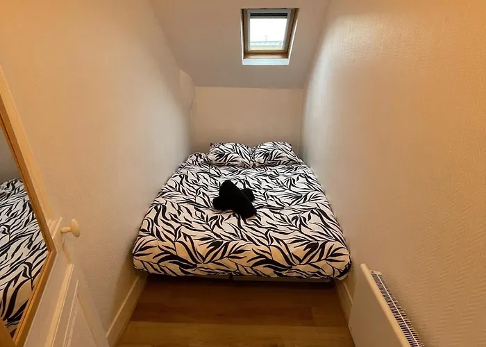 Cozy, Fully Equipped - Downtown - 3 People דירה רואן